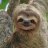 Alex Sloth